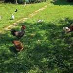 Mit Herz Zierold Διαμέρισμα *