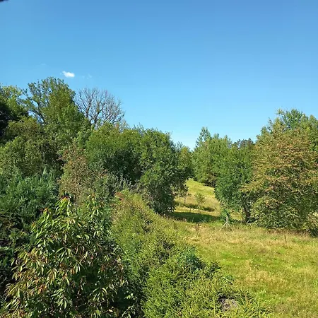 Mit Herz Zierold Eibenstock